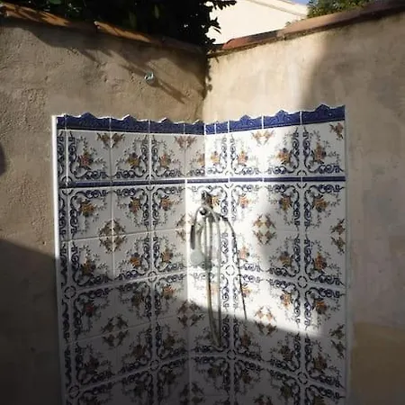 Coraux * Saint-Cyr-sur-Mer